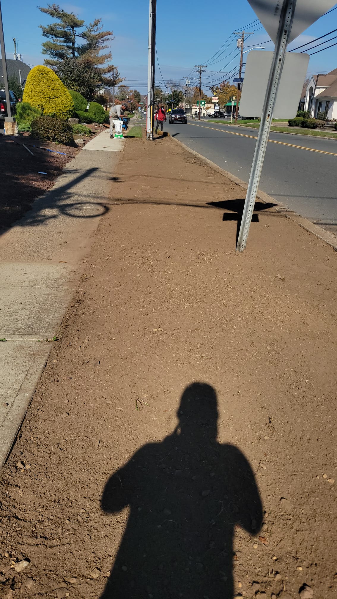 Seasonal Cleanup preview