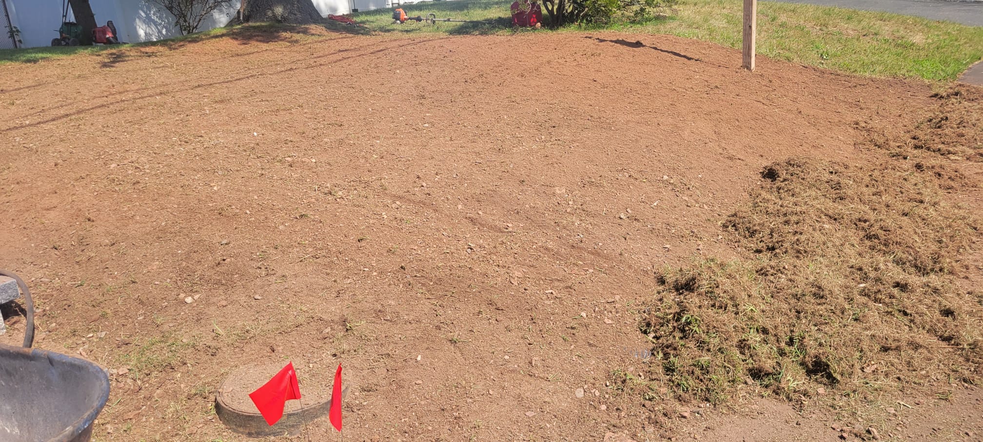 Lawn Maintenance & Cleanup work image 14