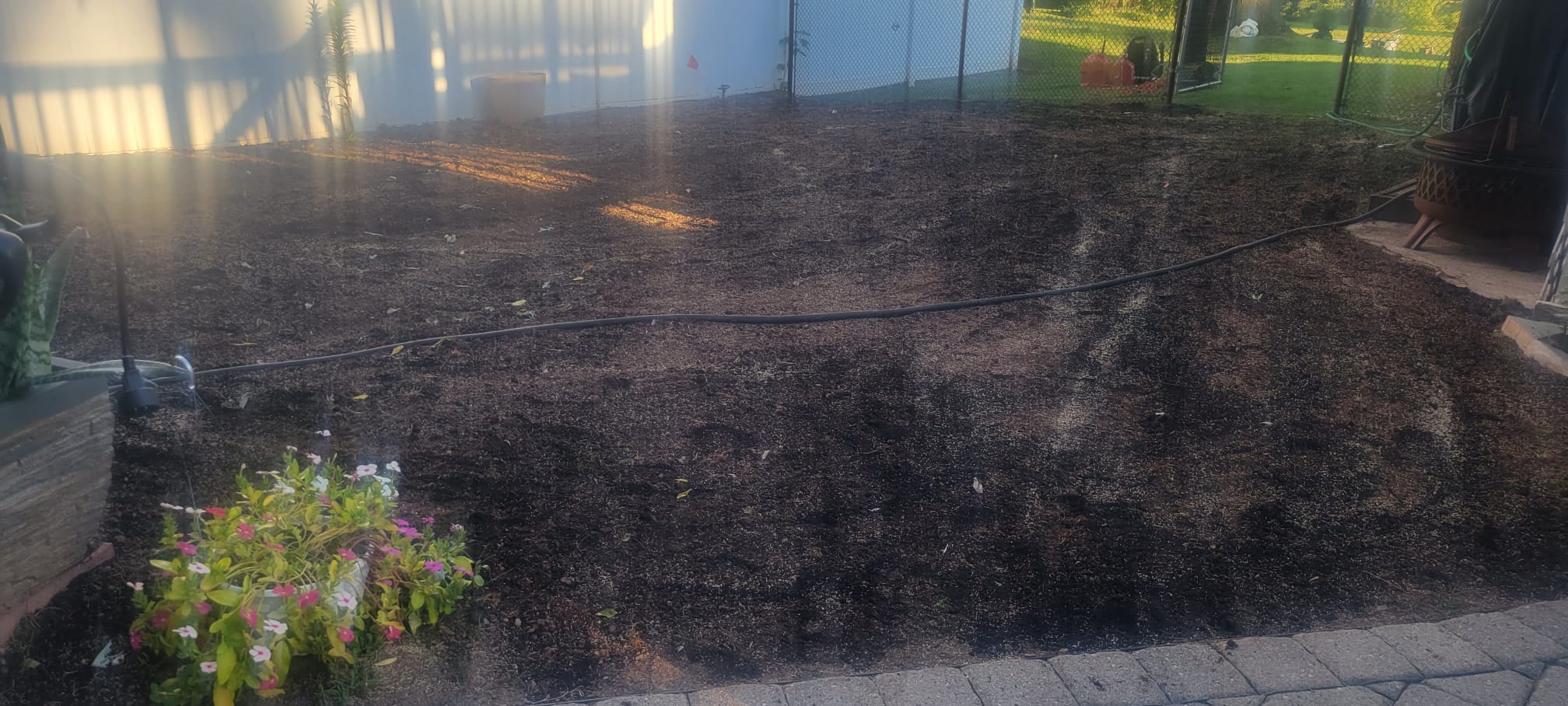 Lawn Maintenance & Cleanup work image 16