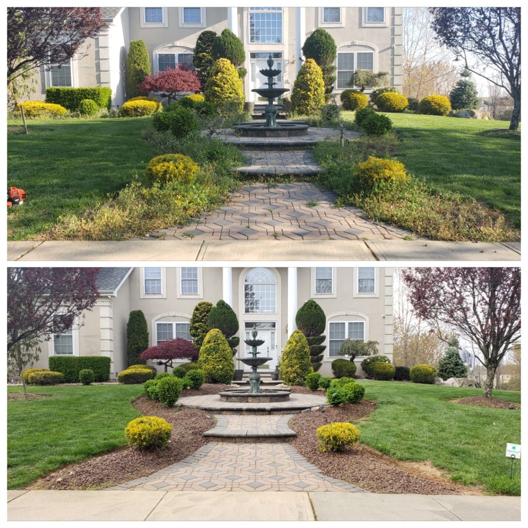 Trimming & Pruning work image 6